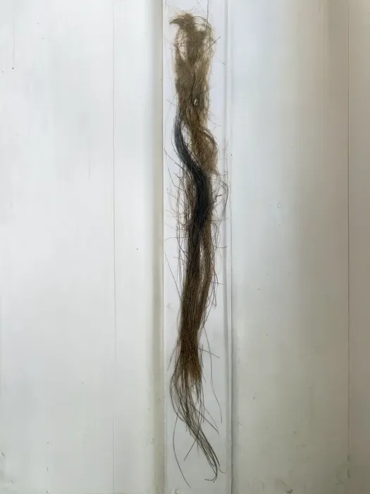 i (1)